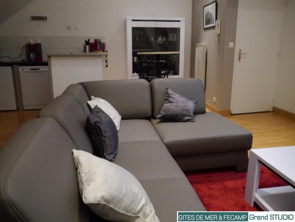 Gites de mer Les Boucanes - Studio -appartement