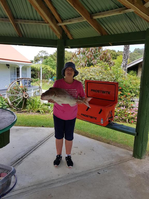 Coromandel Cottages - Resim 34