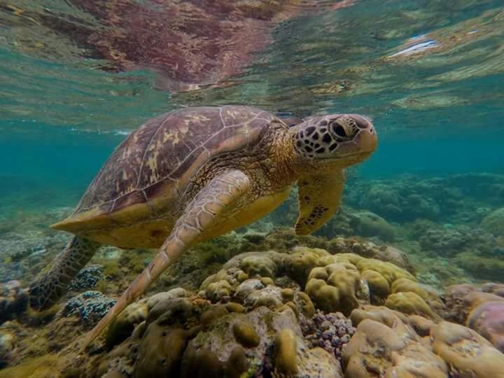 Pondok Rahayu Guest House - 19