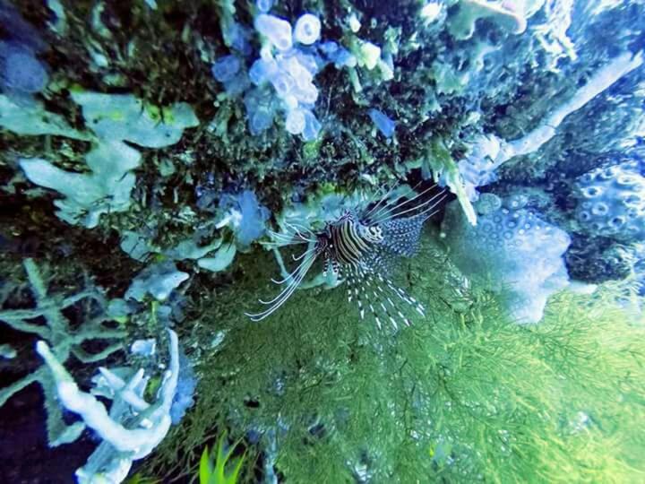 Pondok Rahayu Guest House - 18