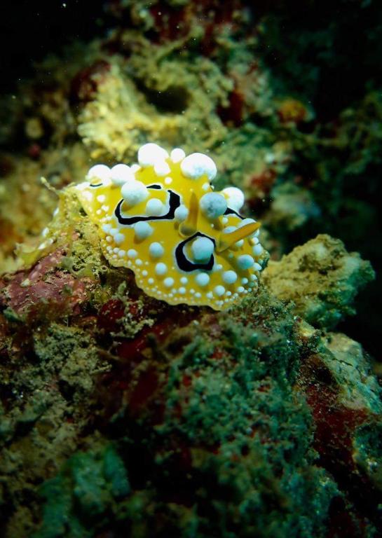 Pondok Rahayu Guest House - 17