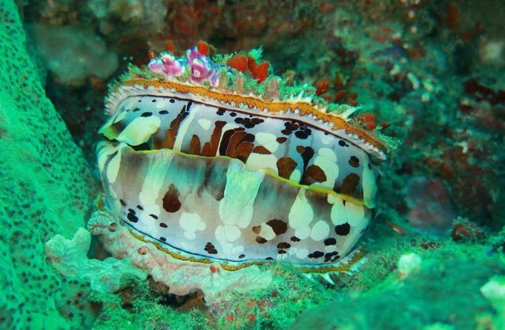 Pondok Rahayu Guest House - 16