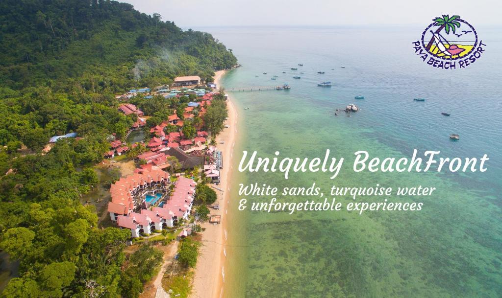 Afbeelding uit fotogalerij van Paya Beach Spa & Dive Resort in Tioman Island
