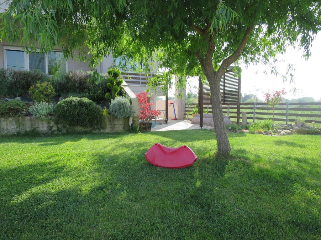 un ombrello rosso sdraiato sull'erba accanto a un albero di Guesthouse with Garden a Komotini