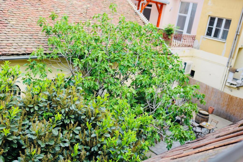 Ogród w obiekcie Rozmaring Apartman Pécs