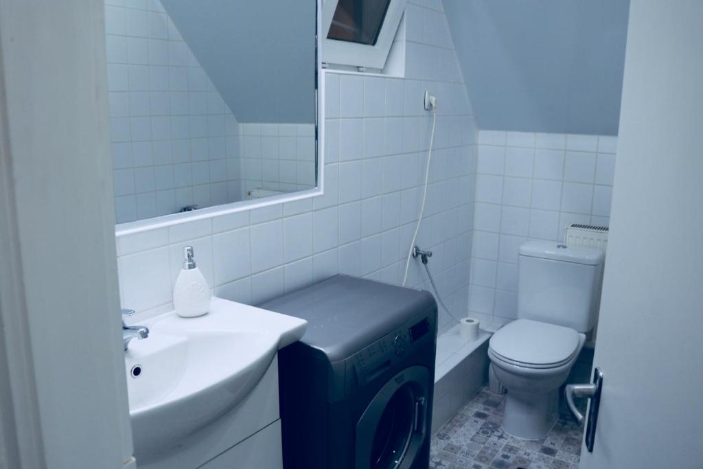 łazienka z umywalką, toaletą i lustrem w obiekcie Rozmaring Apartman Pécs w mieście Pecz