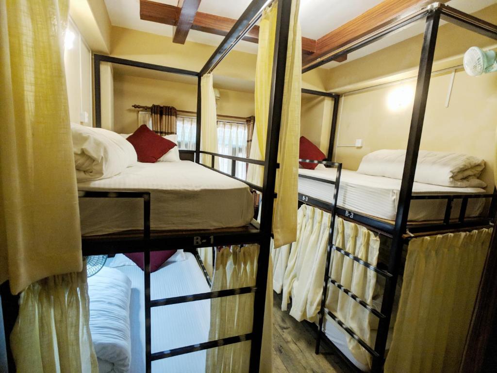 A bed or beds in a room at Hotel Forest Lake Backpackers' Hostel
