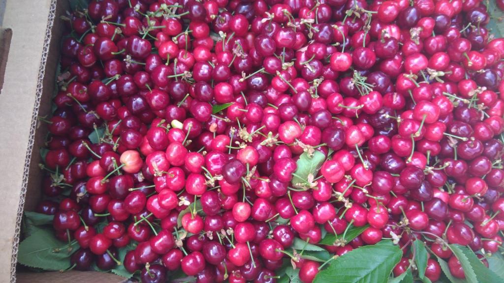 Derechos de imagen reservados por Booking.com