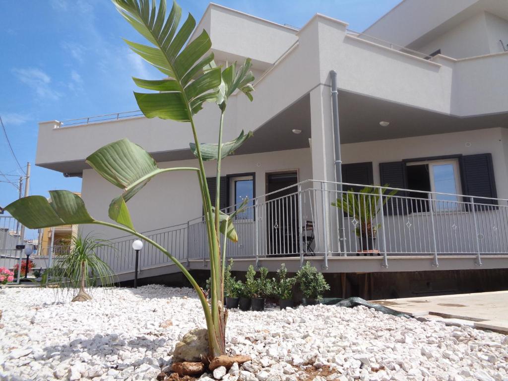 eine Palme vor einem Haus in der Unterkunft Eryx Apartments in Trapani