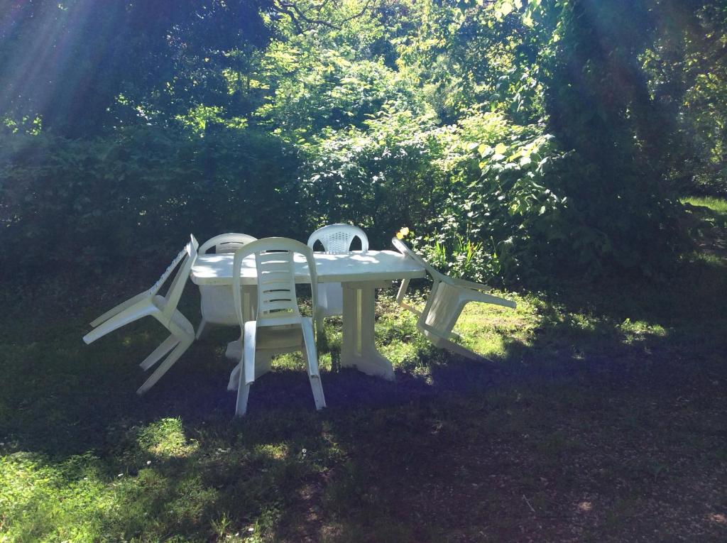 einen weißen Tisch und zwei Stühle im Gras in der Unterkunft Les vaulx in Cour-Cheverny