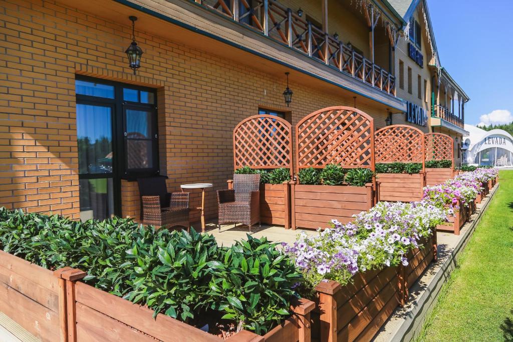Levada Park-Hotel - Habitación Gemela Con Terraza