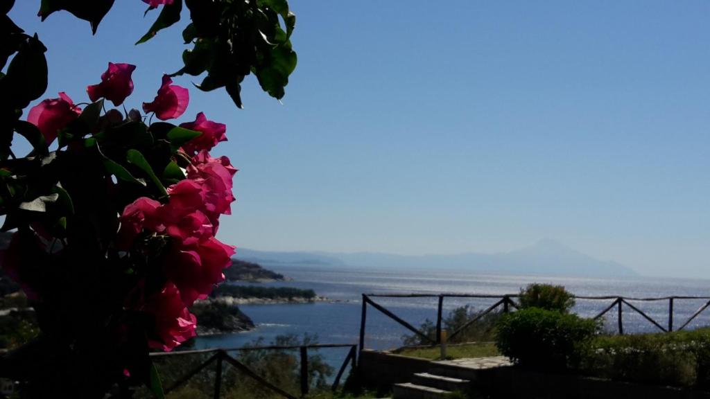 Blick auf den Ozean von einem Hügel mit rosa Blumen in der Unterkunft Vrachos kai Elia in Pyrgadikia