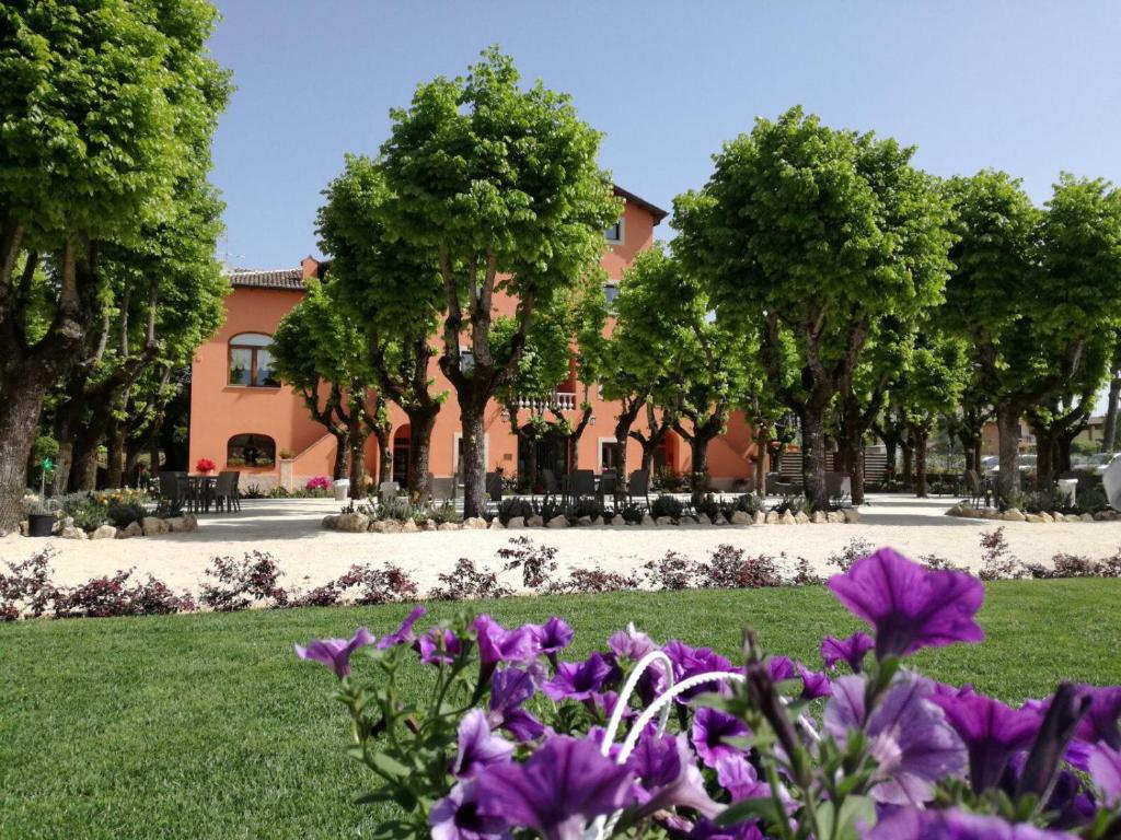 un giardino con fiori viola di fronte a un edificio di Villa Floridiana ad Anagni