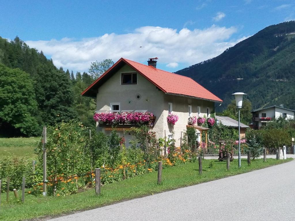 une maison avec des fleurs sur le côté de la route dans l'établissement Appartment Haring, à Hollenstein an der Ybbs