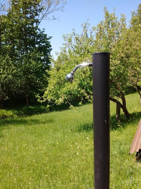 Ogród w obiekcie Chata Fojtka