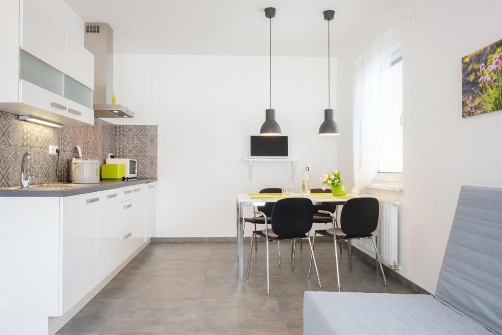 Kuchyň nebo kuchyňský kout v ubytování Apartment Zelená zahrada