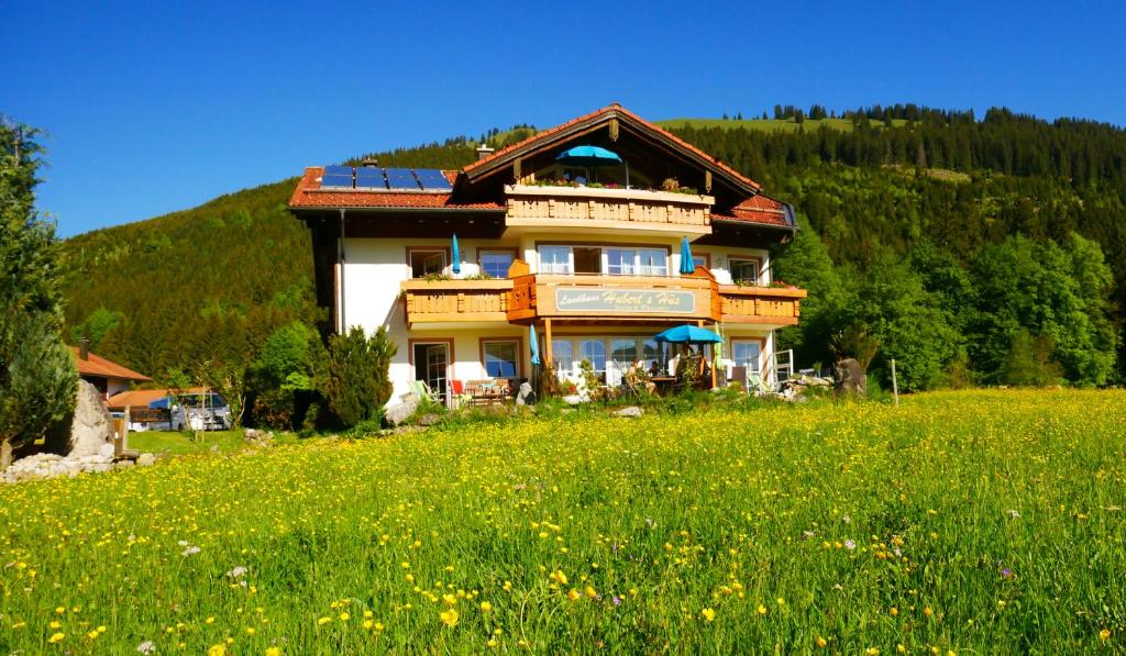 ein Haus auf einem Hügel mit einem Blumenfeld in der Unterkunft Landhaus Hubert's Hüs in Oberjoch