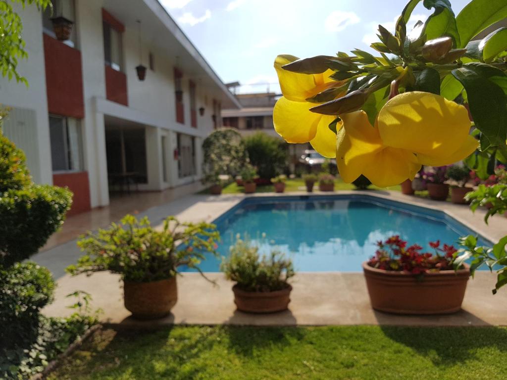 Bazén v ubytování Hotel Isabel nebo v jeho okolí
