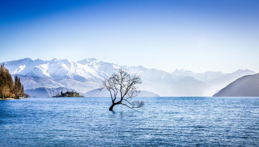 un árbol en medio de un lago con montañas en Wanaka Tree & Lake House, en Wanaka