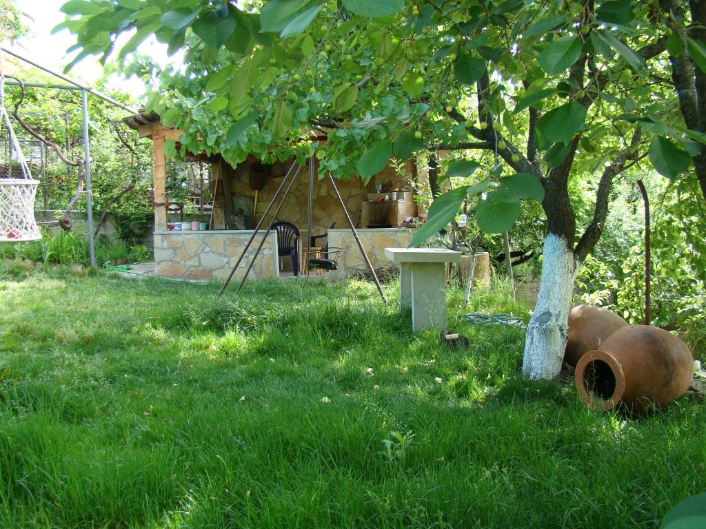 Zahrada ubytování Guest House Ucha