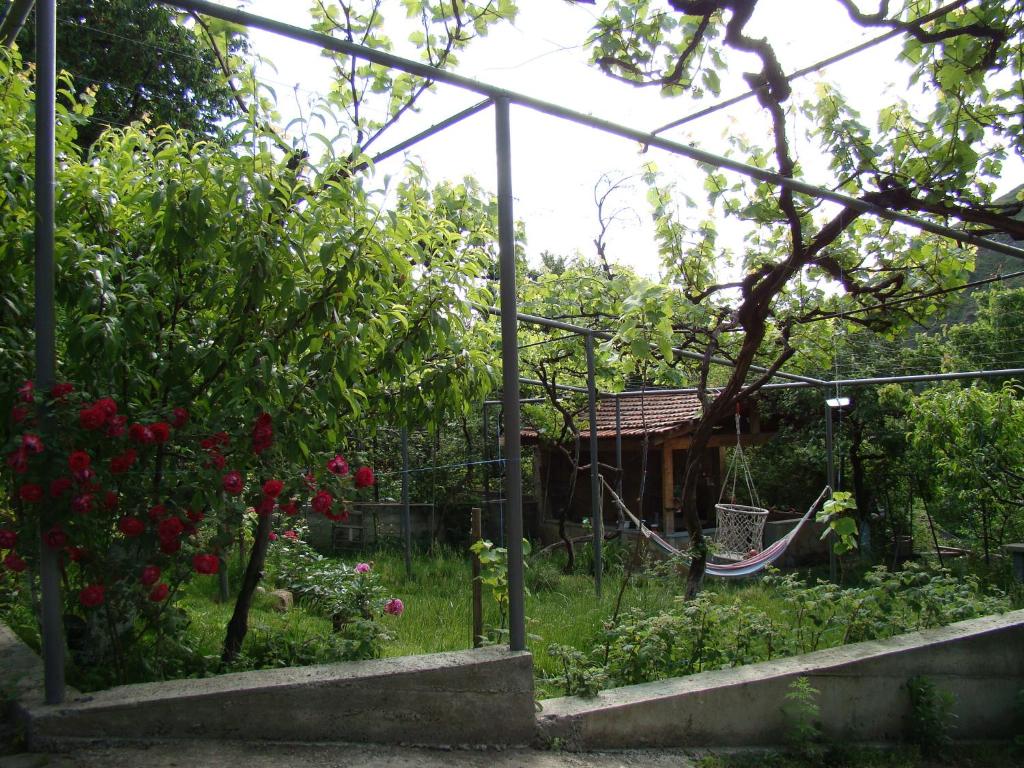 Zahrada ubytování Guest House Ucha