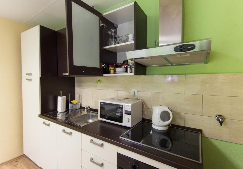 Kuchyňa alebo kuchynka v ubytovaní Apartment Skeja