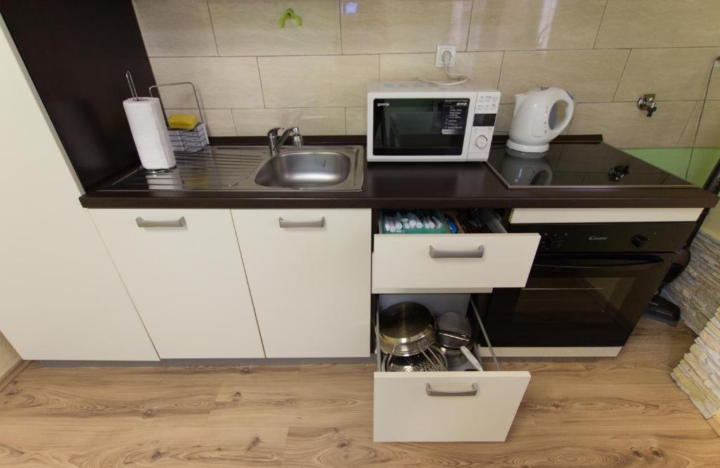 Kuchyňa alebo kuchynka v ubytovaní Apartment Skeja