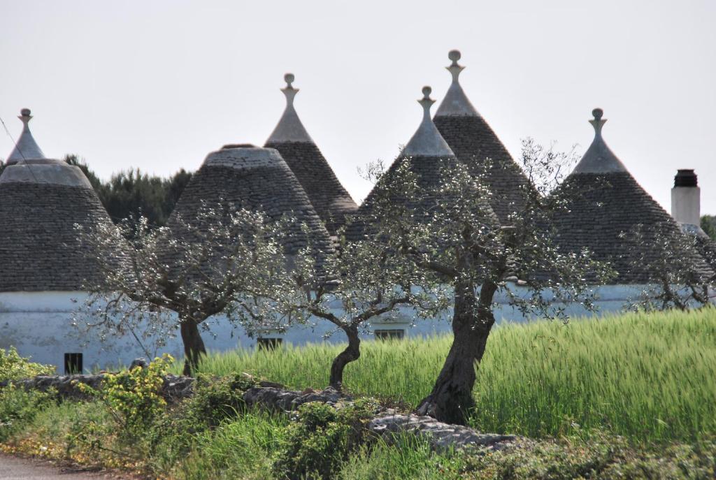 a row of apple trees in front of a building at Iannet & Co. in Locorotondo