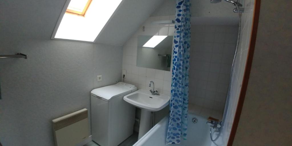 Un baño con lavabo, inodoro y ducha. en appartement au gagne petit 25 kilomètres du parc le pal, en Bourbon-Lancy