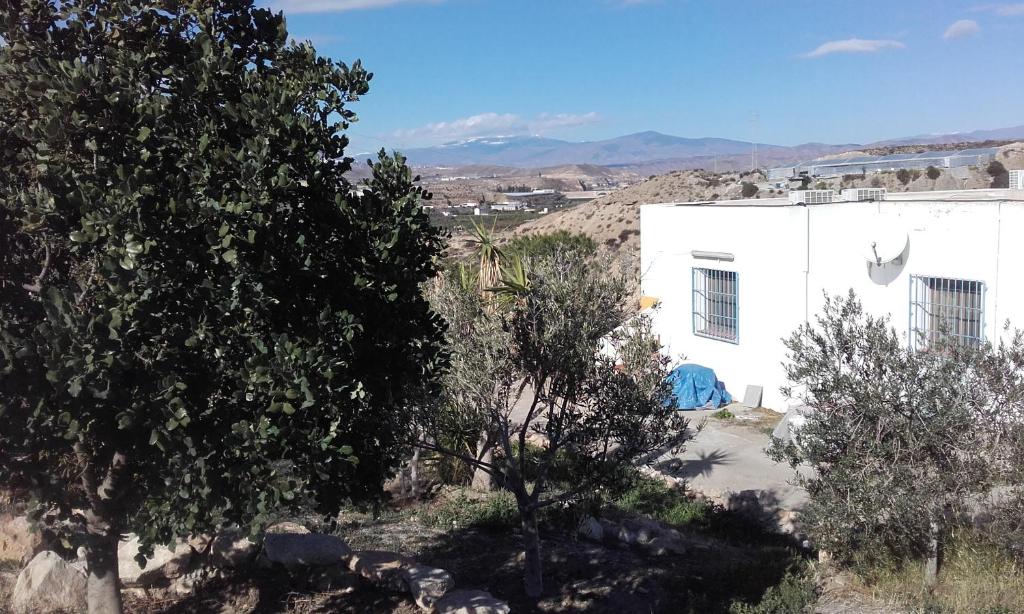 a white building with trees and mountains in the background at Los Roblecillos in Pechina