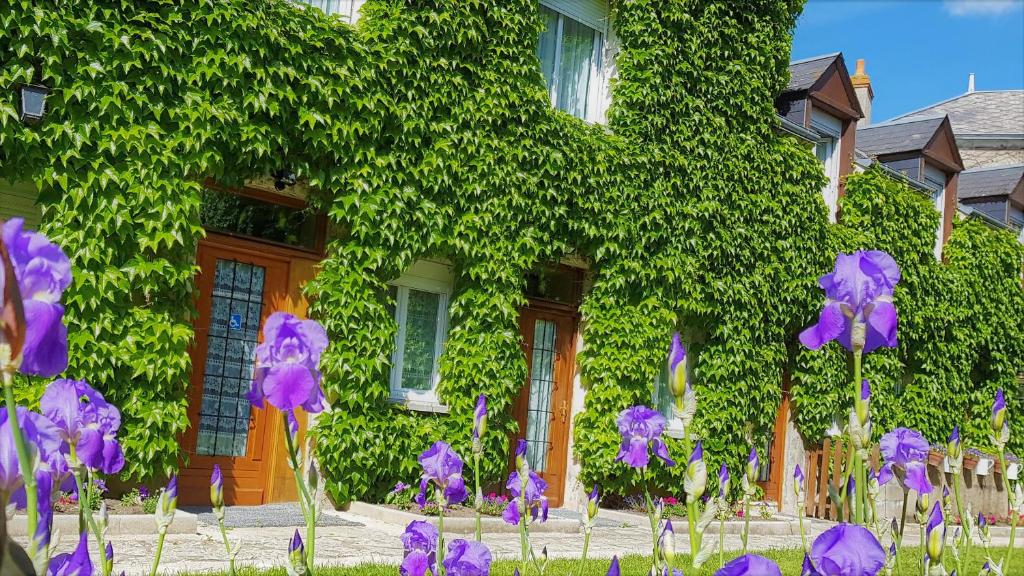 Zahrada ubytování Le Beaugency