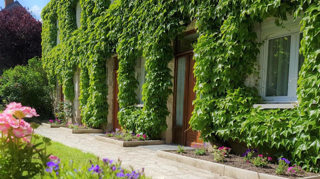Zahrada ubytování Le Beaugency