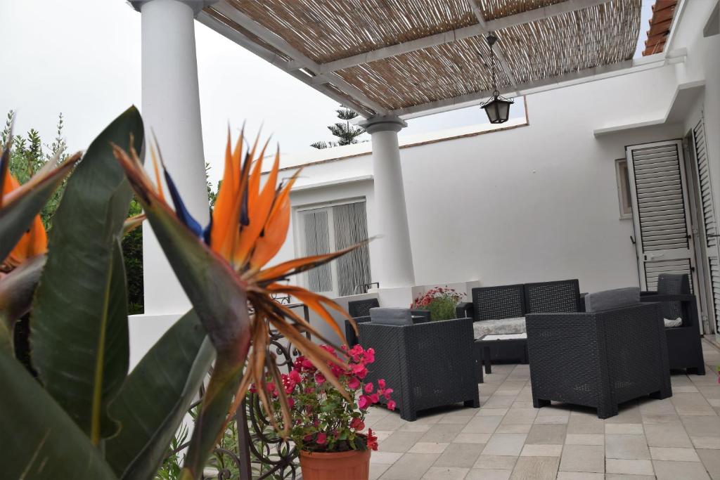 Część wypoczynkowa w obiekcie villa damecuta B&B