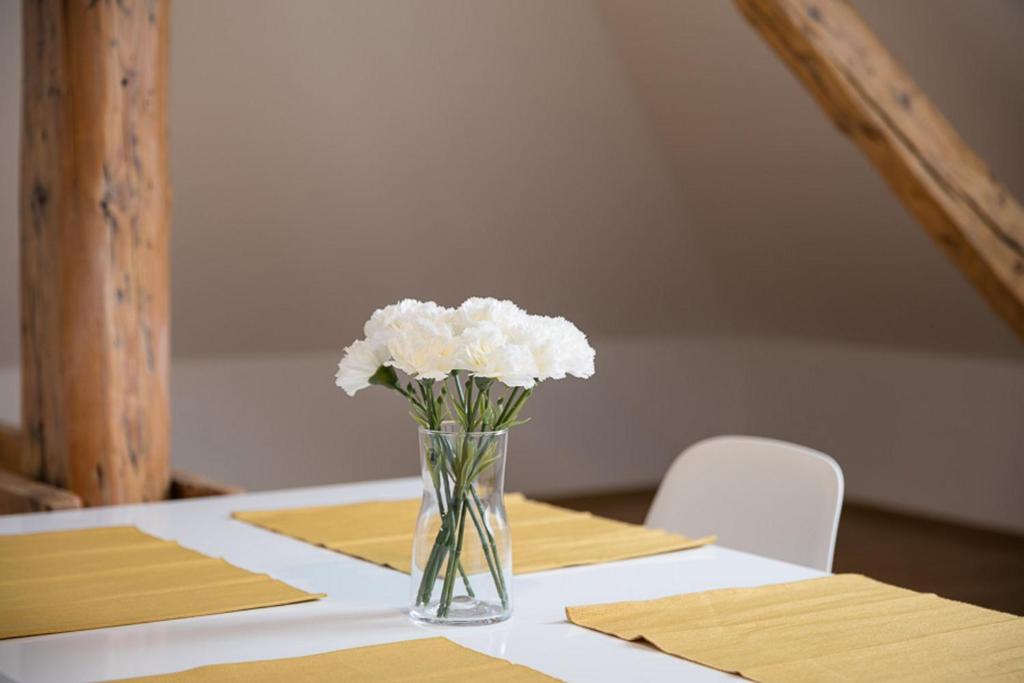 Pytloun Apartments Liberec - Resim 21