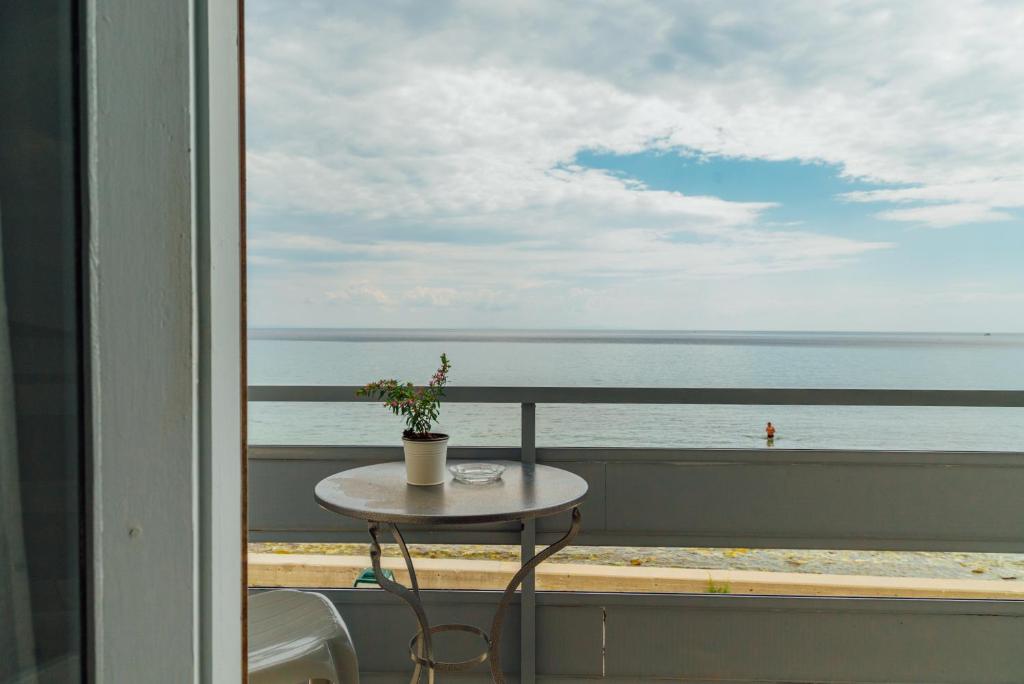 Příroda nedaleko hotelu