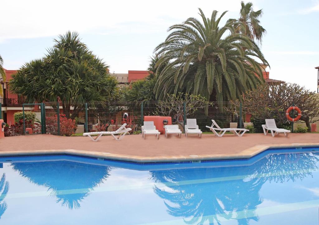 a swimming pool with chairs and palm trees at Los Balconcitos 51 in Los Cancajos