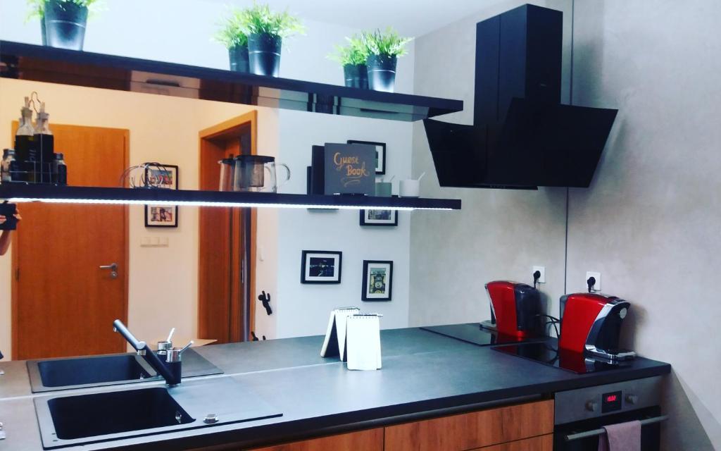 Kuchnia lub aneks kuchenny w obiekcie Brunetti Design Apartment