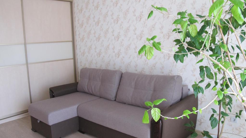un sofá gris en una habitación con una planta en Apartment "Ostrova" en Kryzhanivka