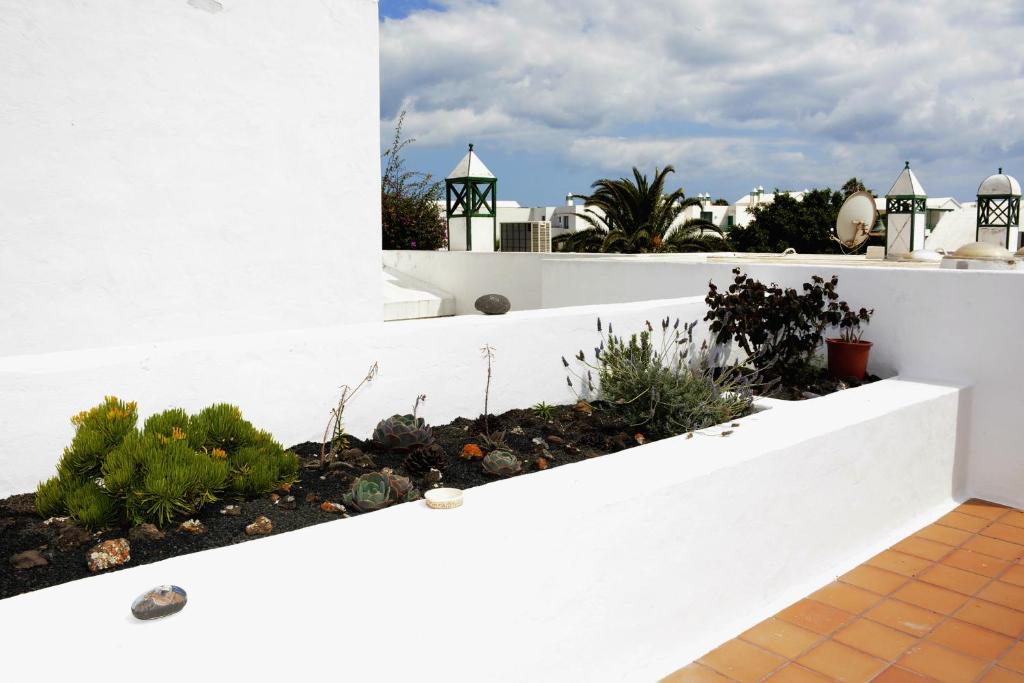 a white fence with a garden on a balcony at Casa Melera in Costa Teguise