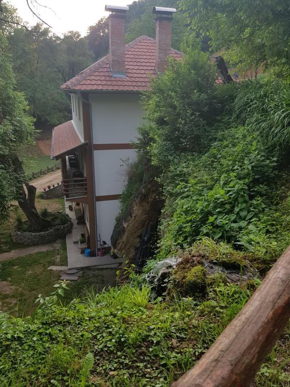 Zahrada ubytování Guest House Lisinski Raj
