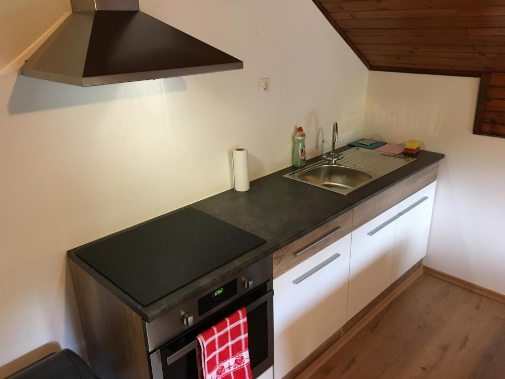 Kuchyň nebo kuchyňský kout v ubytování Dolar Rooms