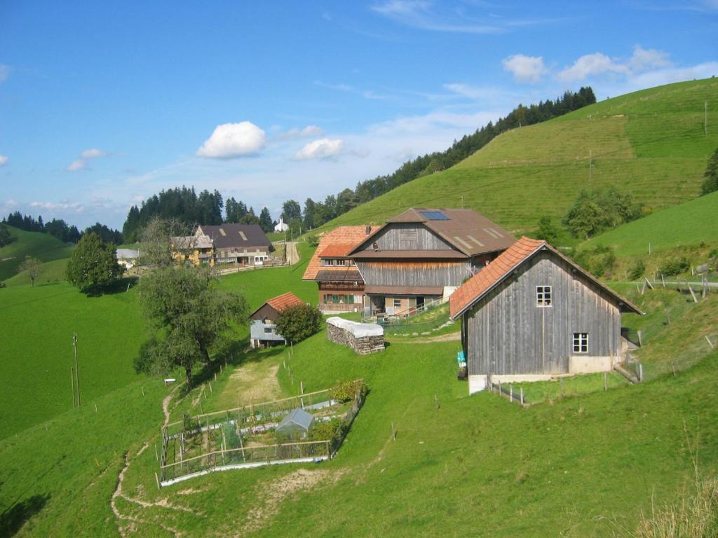 eine Luftansicht eines Betriebs auf einem grünen Hügel in der Unterkunft Apartment Ober-Tiefenbühl in Hergiswil