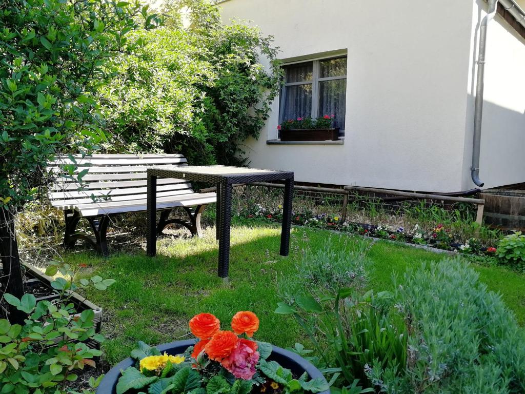 Zahrada ubytování Ferienwohnung Pohle-Priske Radebeul
