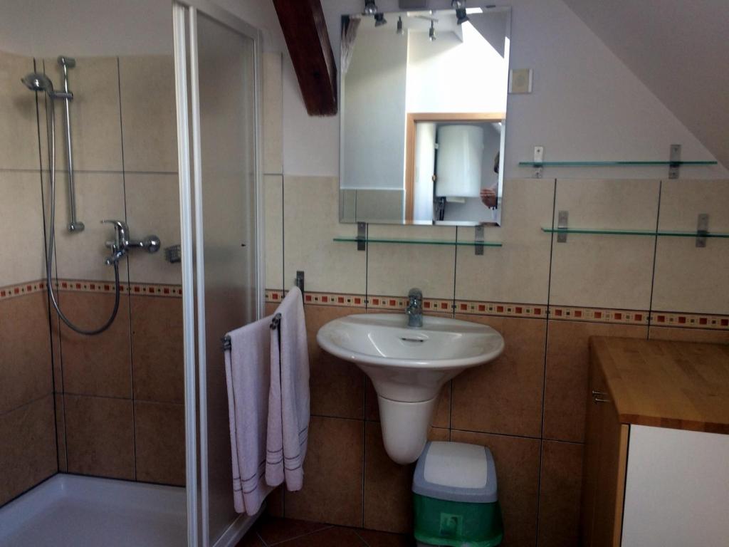 Koupelna v ubytování Apartma Stenar