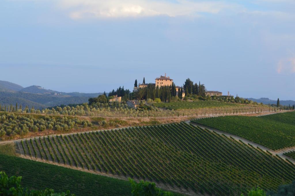 a vineyard with a castle on top of a hill at damario panorama in Panzano