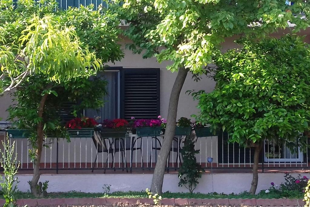 une clôture avec deux chaises et une fenêtre fleurie dans l'établissement Jordan, à Kaštela
