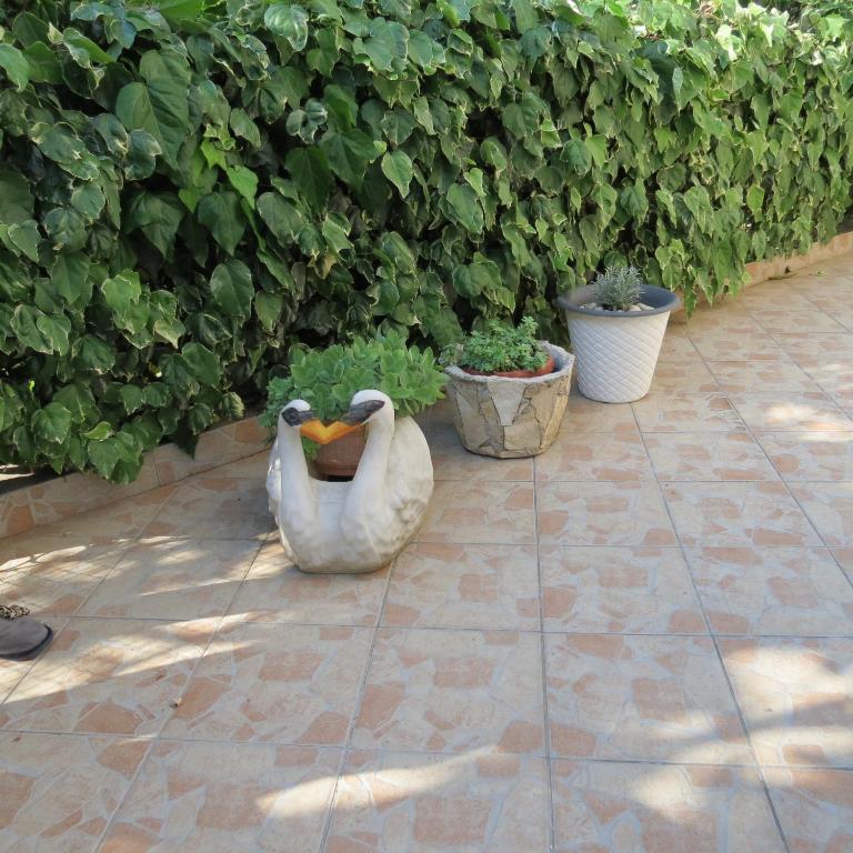 Zahrada ubytování Guesthouse Vrlic