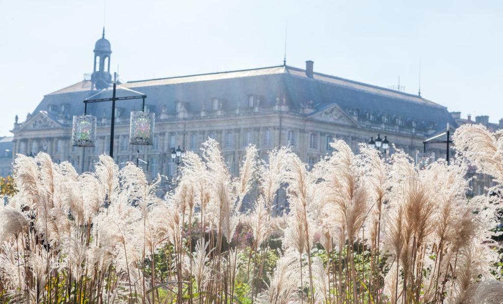 Best Western Premier HBEO Bordeaux Centre - Resim 44