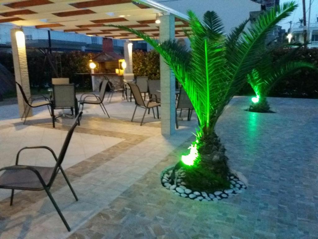 a palm tree with lights on a patio at night at Pension Delfini in Asprovalta