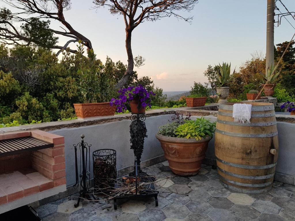 a garden with a piano and a barrel and flowers at Villa Eugenia in Livorno